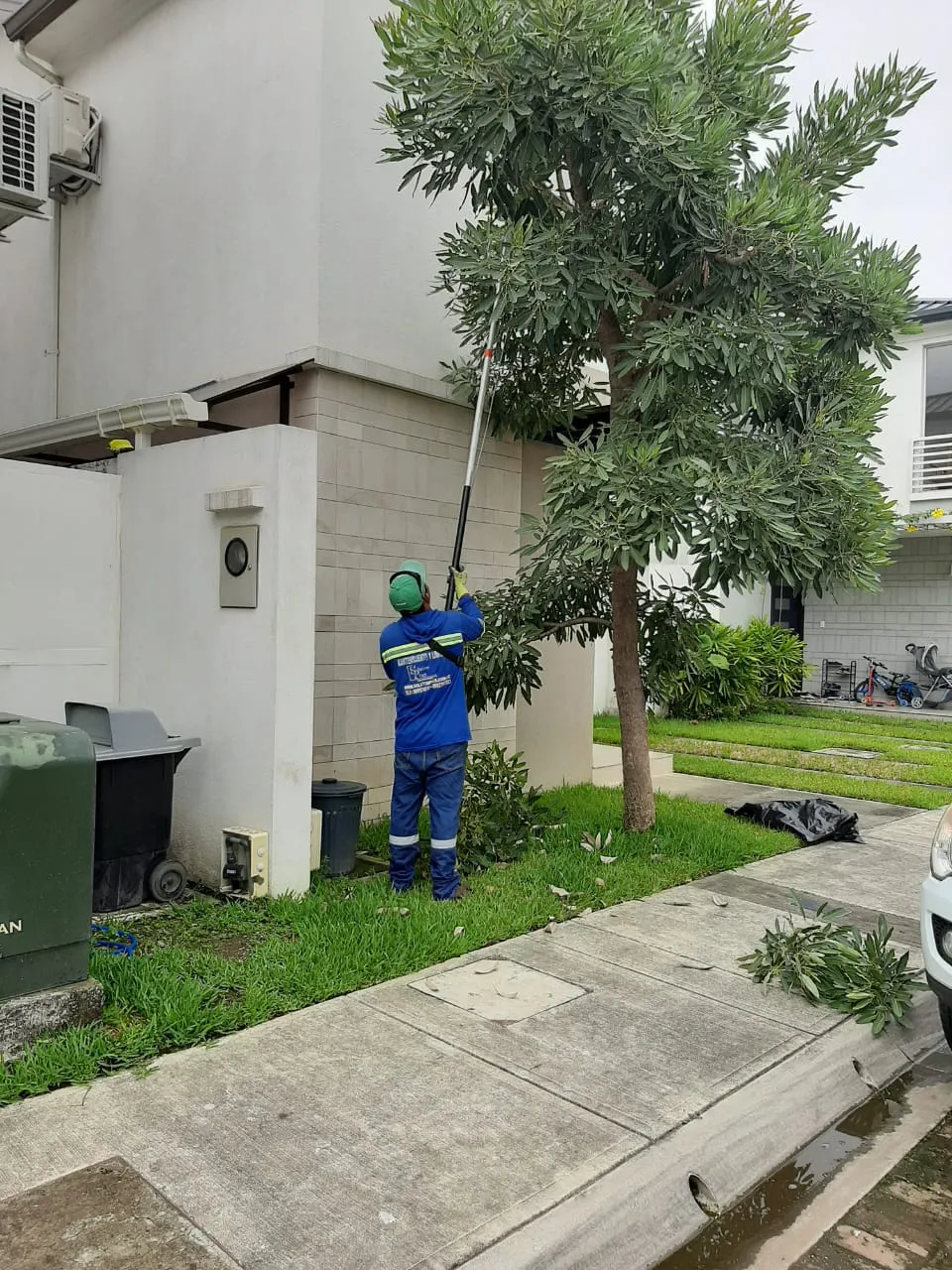 Técnico de SolutionPlus podando un árbol con pértiga extensible en una zona residencial de Guayaquil