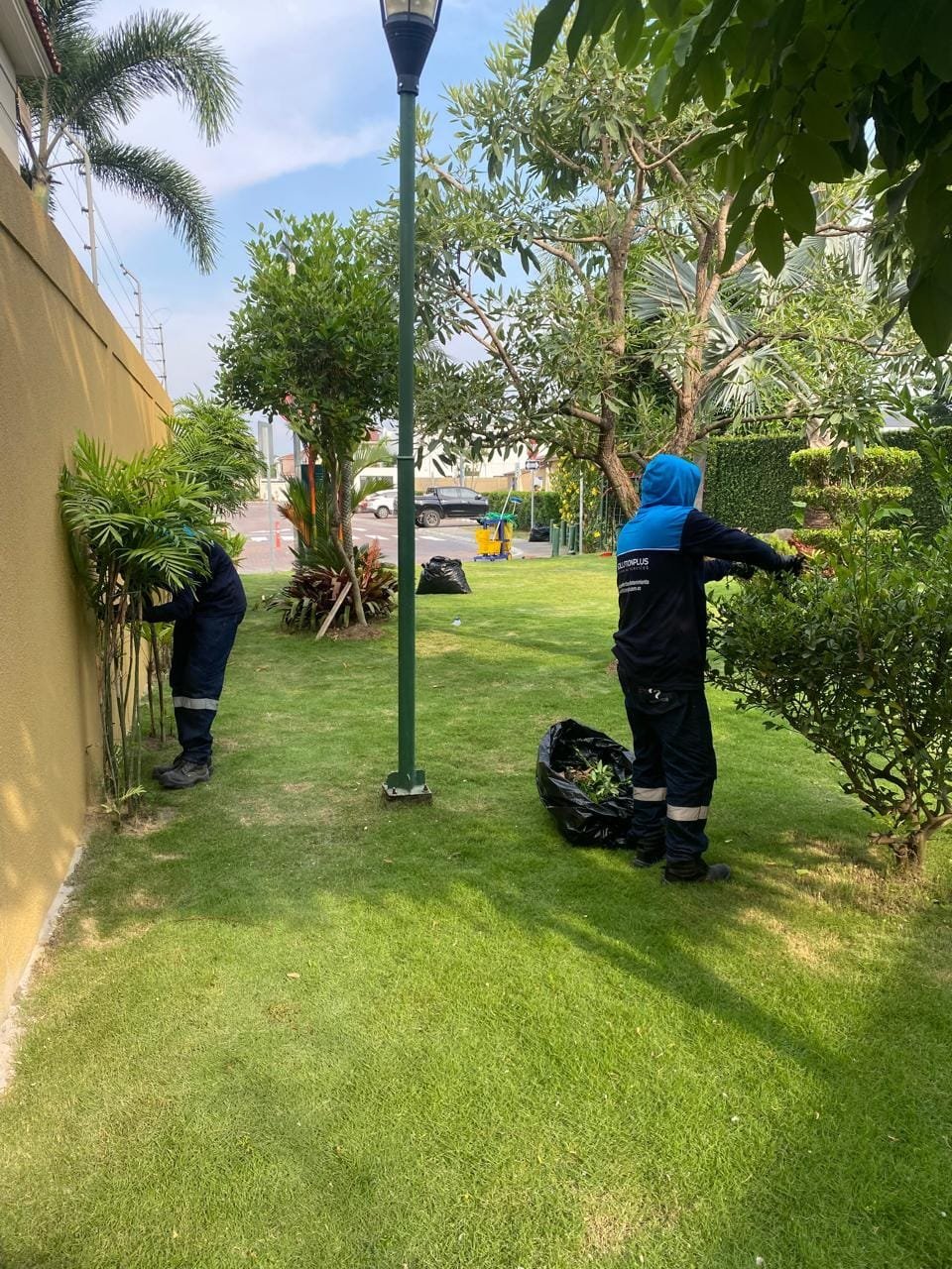 Trabajador de SolutionPlus recortando un seto en una urbanización de Samborondón