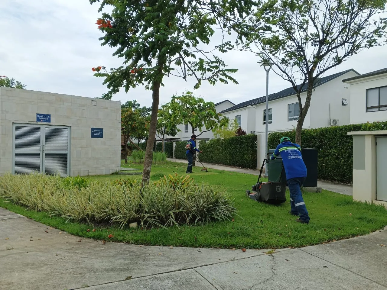 Dos técnicos de SolutionPlus dando mantenimiento a las áreas verdes comunes de una urbanización