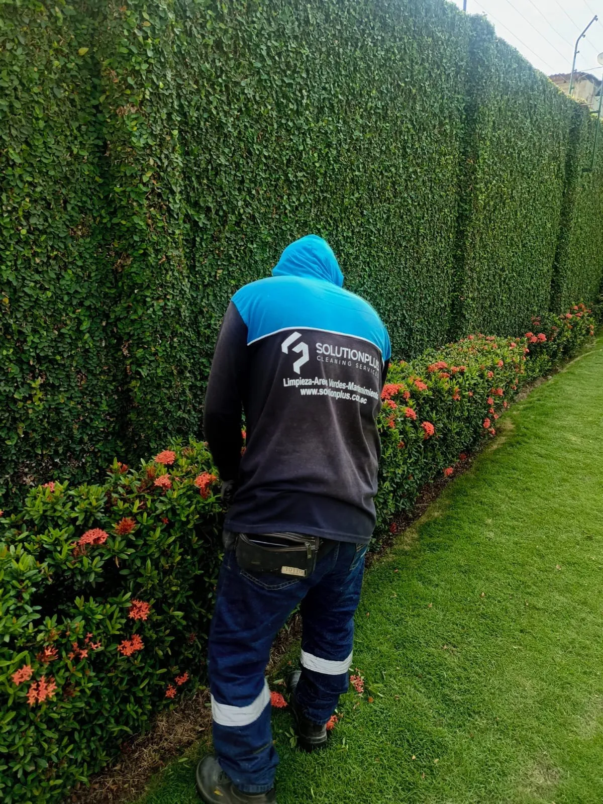 Dos jardineros de SolutionPlus trabajando en el área verde de una urbanización
