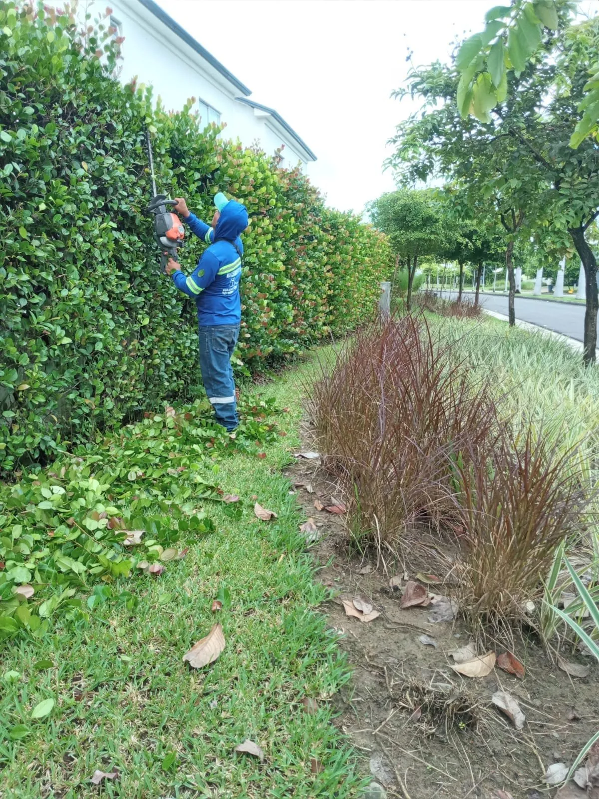 Cuadrilla de SolutionPlus trabajando en una urbanización